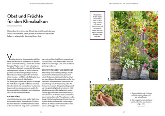 Klimahelden auf dem Balkon 