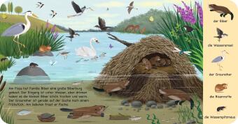Mein erstes Natur-Wimmelbuch: Tiere am Wasser - Mini-Ausgabe