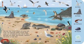 Mein erstes Natur-Wimmelbuch: Tiere am Wasser - Mini-Ausgabe