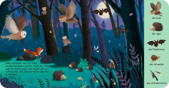 Mein erstes Natur-Wimmelbuch: Tiere im Wald - Mini-Ausgabe