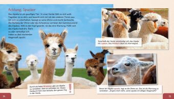 Meine große Tierbibliothek: Das Alpaka
