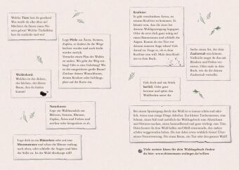 Ein Mädchen namens Willow: Mein Willow-Waldtagebuch