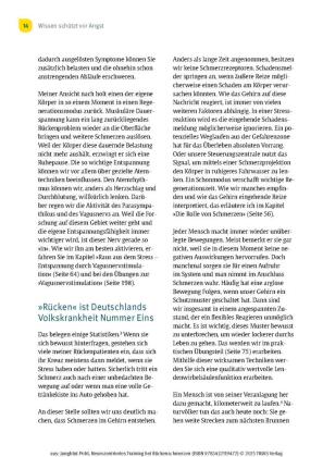 Neurozentriertes Training bei Rückenschmerzen