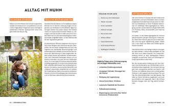 Gartenmomente: Hühner
