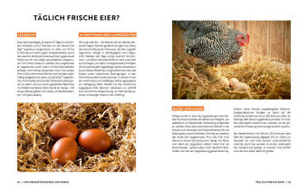 Gartenmomente: Hühner