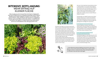 Bunte Beete - Einfach gärtnern mit intensiver Bepflanzung in Hochbeet und Freiland