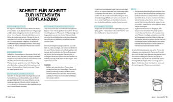 Bunte Beete - Einfach gärtnern mit intensiver Bepflanzung in Hochbeet und Freiland