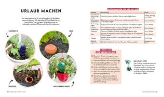Keine Zeit zu gärtnern - Balkonglück mit wenig Aufwand