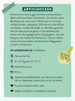 Kartenset: Keine Zeit zu gärtnern - 64 Karten - Einfach und schnell zum Gemüsegarten