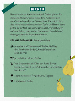 Kartenset: Keine Zeit zu gärtnern - 64 Karten - Einfach und schnell zum Gemüsegarten
