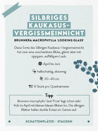 Kartenset: Keine Zeit zu gärtnern - 64 Karten - Einfach und schnell zum Blumengarten