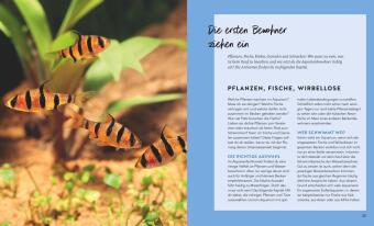 Aquarien - Spaß für Kinder