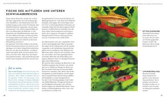 Aquarien - Spaß für Kinder