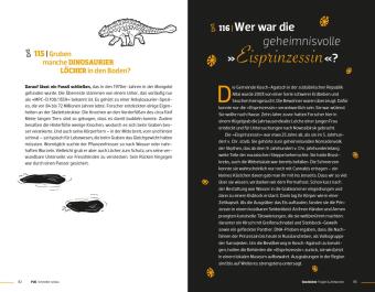 P.M. Schneller schlau GESCHICHTE