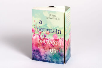 A Mountain Between Us