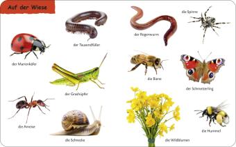 Duden 12+: Kennst du das? Die Tiere 