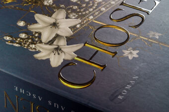 Chosen - Haus aus Asche
