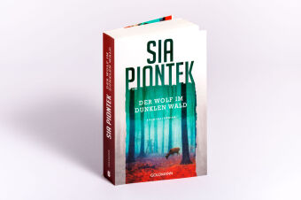 Der Wolf im dunklen Wald 