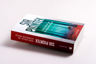 Der Wolf im dunklen Wald 