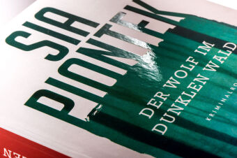 Der Wolf im dunklen Wald 