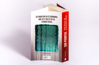 Der Wolf im dunklen Wald 