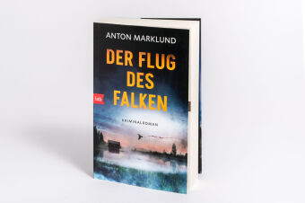 Der Flug des Falken