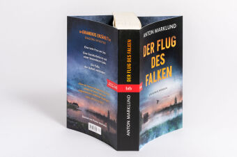 Der Flug des Falken