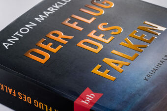 Der Flug des Falken