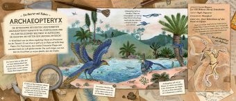 Fossilien - Schätze von Ammoniten bis zum T. Rex