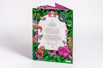 LIFE - Die bunte Vielfalt des Lebens 