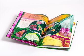 LIFE - Die bunte Vielfalt des Lebens 