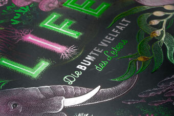 LIFE - Die bunte Vielfalt des Lebens 