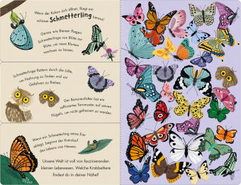 Bienen & Käfer - Ein Klipp-Klapp-Buch über Krabbeltiere