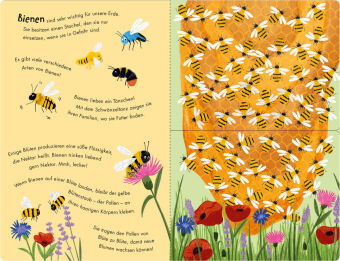 Bienen & Käfer - Ein Klipp-Klapp-Buch über Krabbeltiere