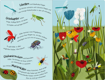 Bienen & Käfer - Ein Klipp-Klapp-Buch über Krabbeltiere