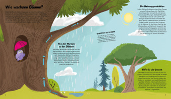 Das kleine Buch der Bäume 