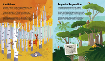 Das kleine Buch der Bäume 