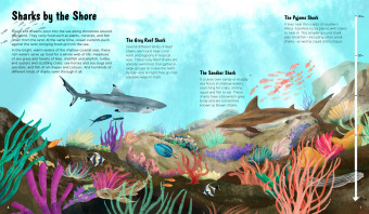 The World of Sharks 