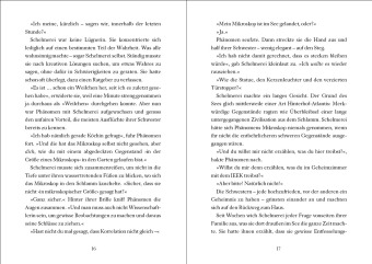 Die Swifts (Band 2) - Ein denkwürdiger Diebstahl