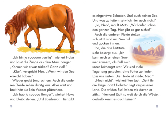 Wildpferde - mutig und frei (Band 5) - Rauch über der Prärie 