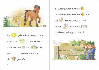 Lesenlernen in 3 Schritten - Die schönsten Pferdegeschichten