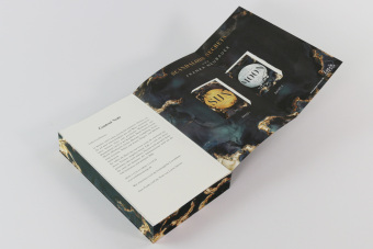 Before the Moon Falls (Scandalous Secrets, Band 2)
