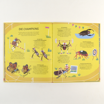 Respekt fürs Insekt 