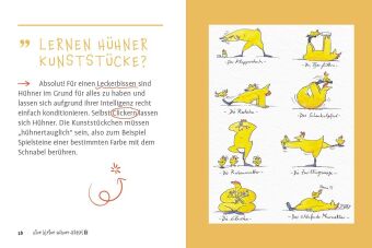 Eine kleine Hühner-RätselEI