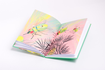 William und der Fliegenkönig 