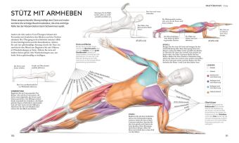 Schwimmen - Die Anatomie verstehen