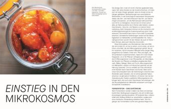 Fermentieren. Rezepte und Techniken für Geschmack, den man nicht kaufen kann