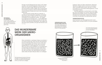 Fermentieren. Rezepte und Techniken für Geschmack, den man nicht kaufen kann
