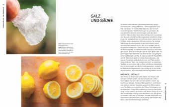 Fermentieren. Rezepte und Techniken für Geschmack, den man nicht kaufen kann
