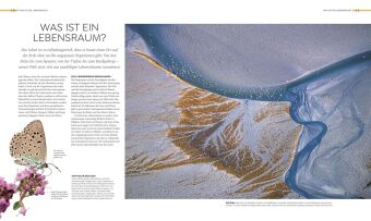 Wilde Welten